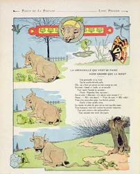 De kikker die zo dik als de os wilde zijn, illustratie uit de 
